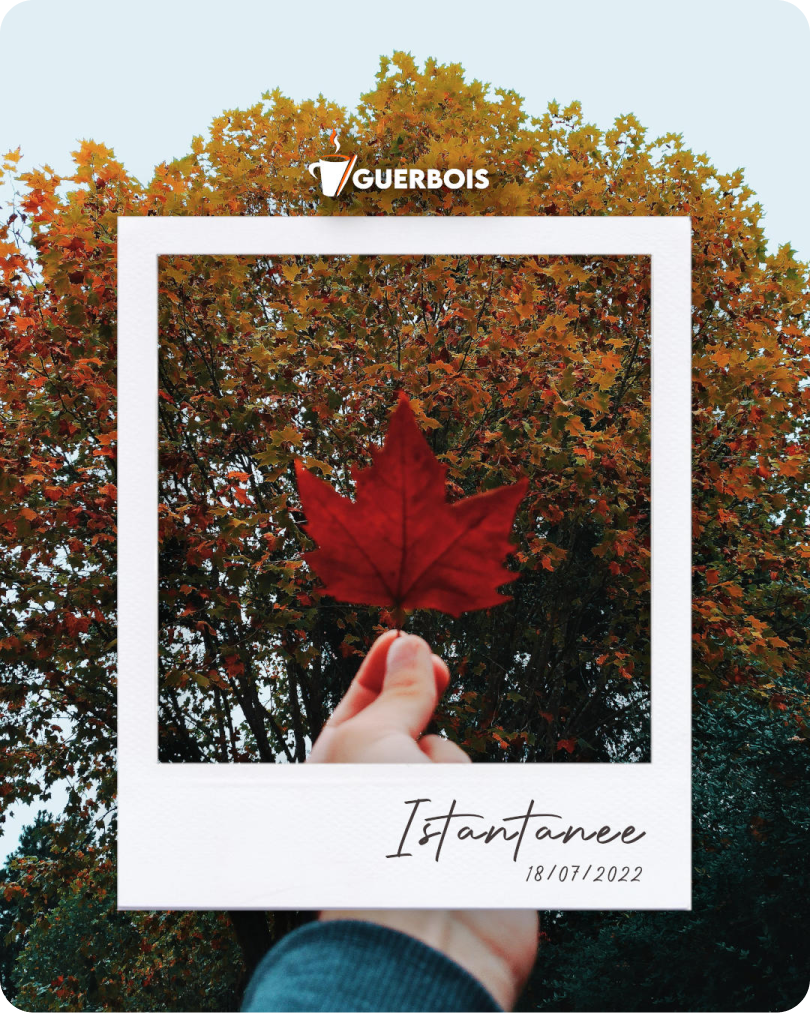 scorri per leggere la scheda tecnica